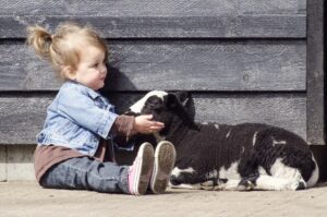 lecturas 20201119 013